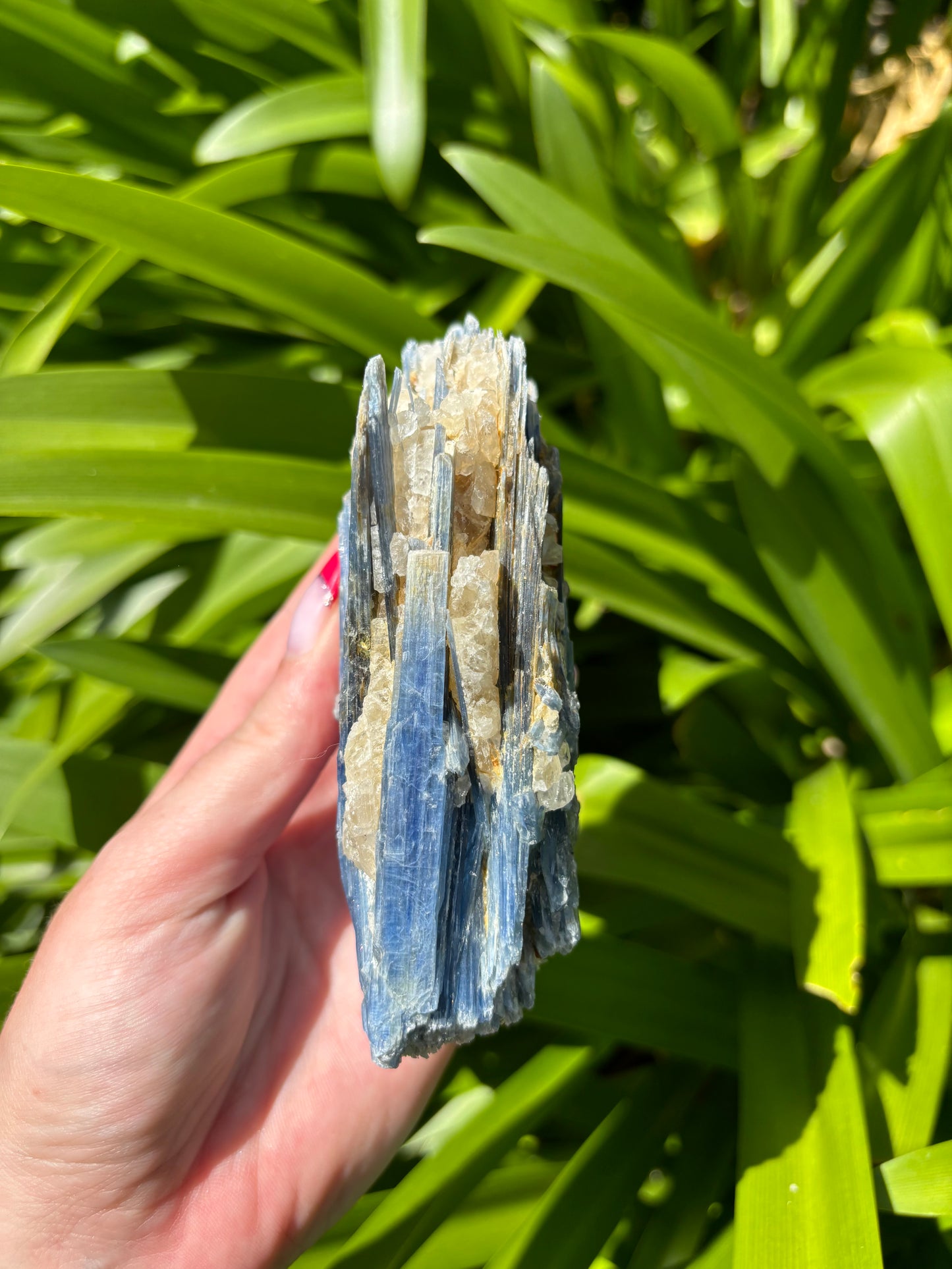 Blue Kyanite & Quartz Piece i