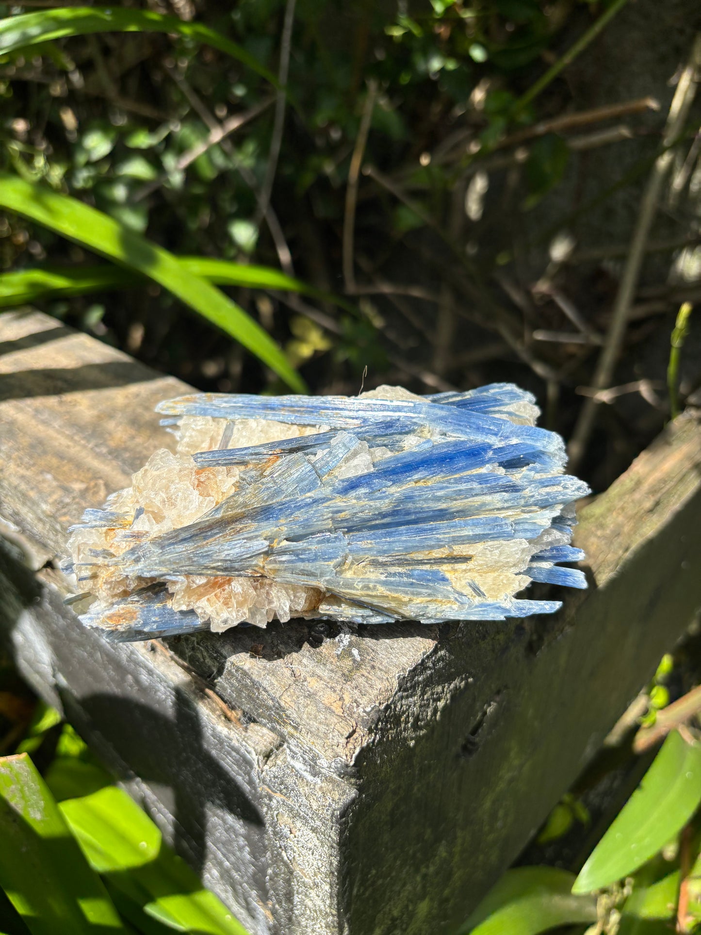 Blue Kyanite & Quartz Piece i