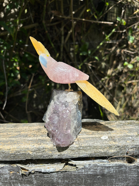 Rose Quartz & Orange Calcite Parrot