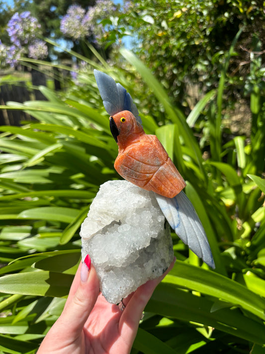 Orange Calcite & Blue Quartz Parrot