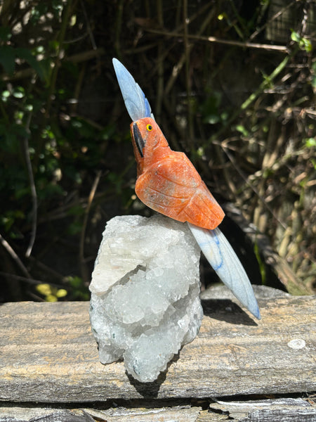 Orange Calcite & Blue Quartz Parrot