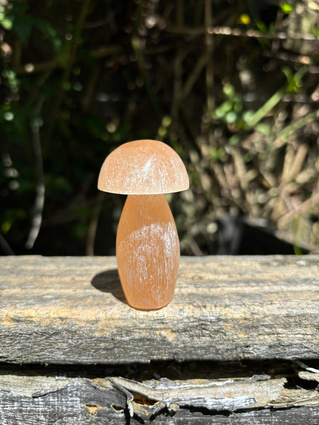 Orange Selenite Mushroom