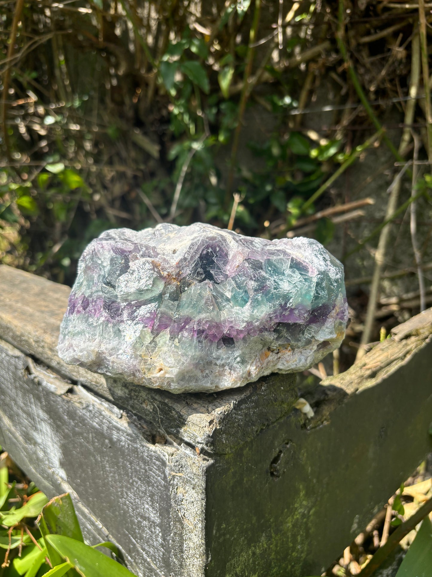 Rainbow Fluorite Rough Large Piece 1.6kgs