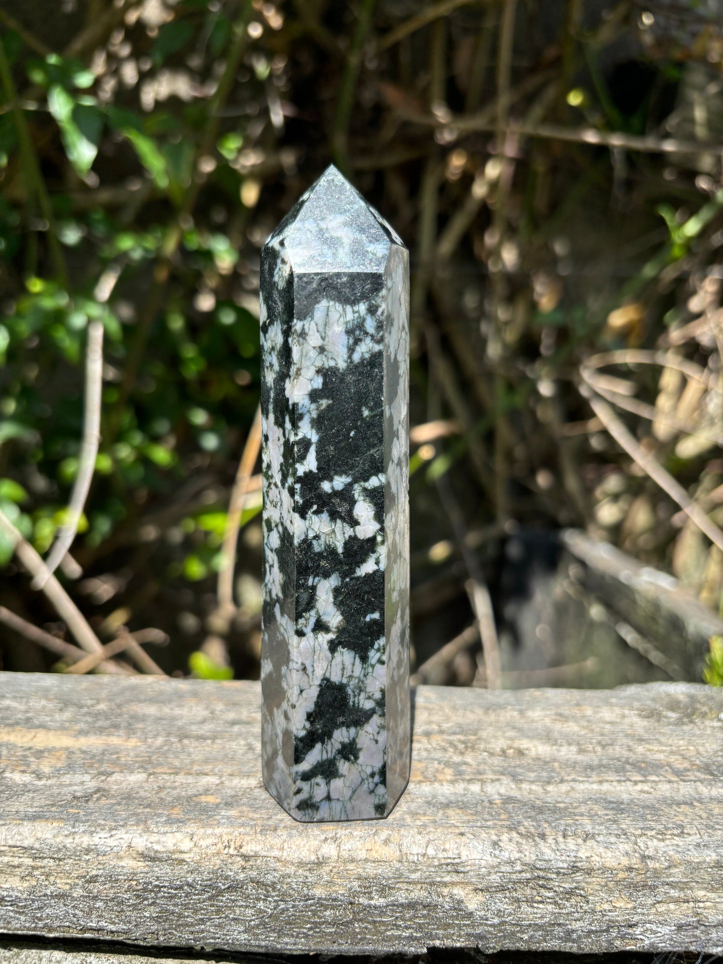 Indigo Gabbro Point C