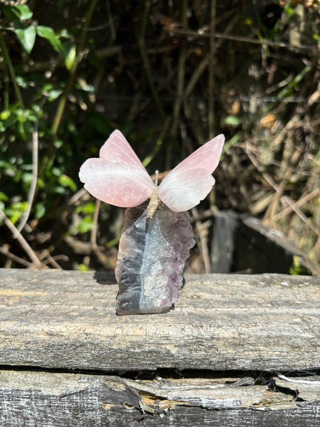 Rose Quartz Butterfly