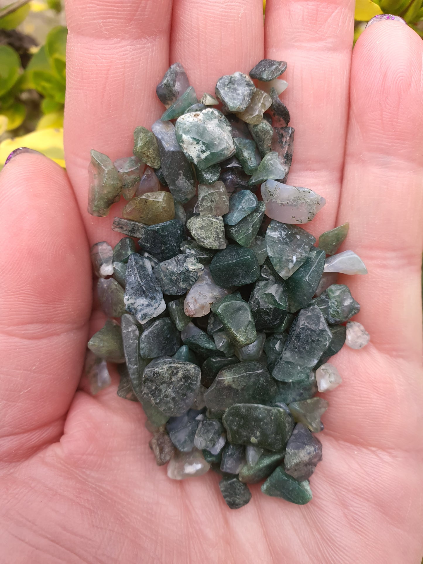 Moss Agate Crystal Chip 100gms Bag