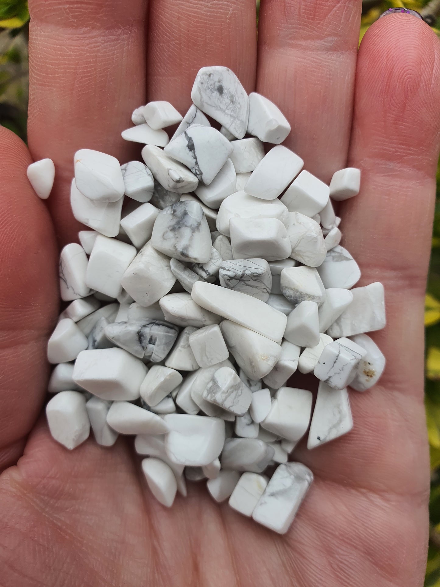 Howlite Crystal Chip 100 gms Bag