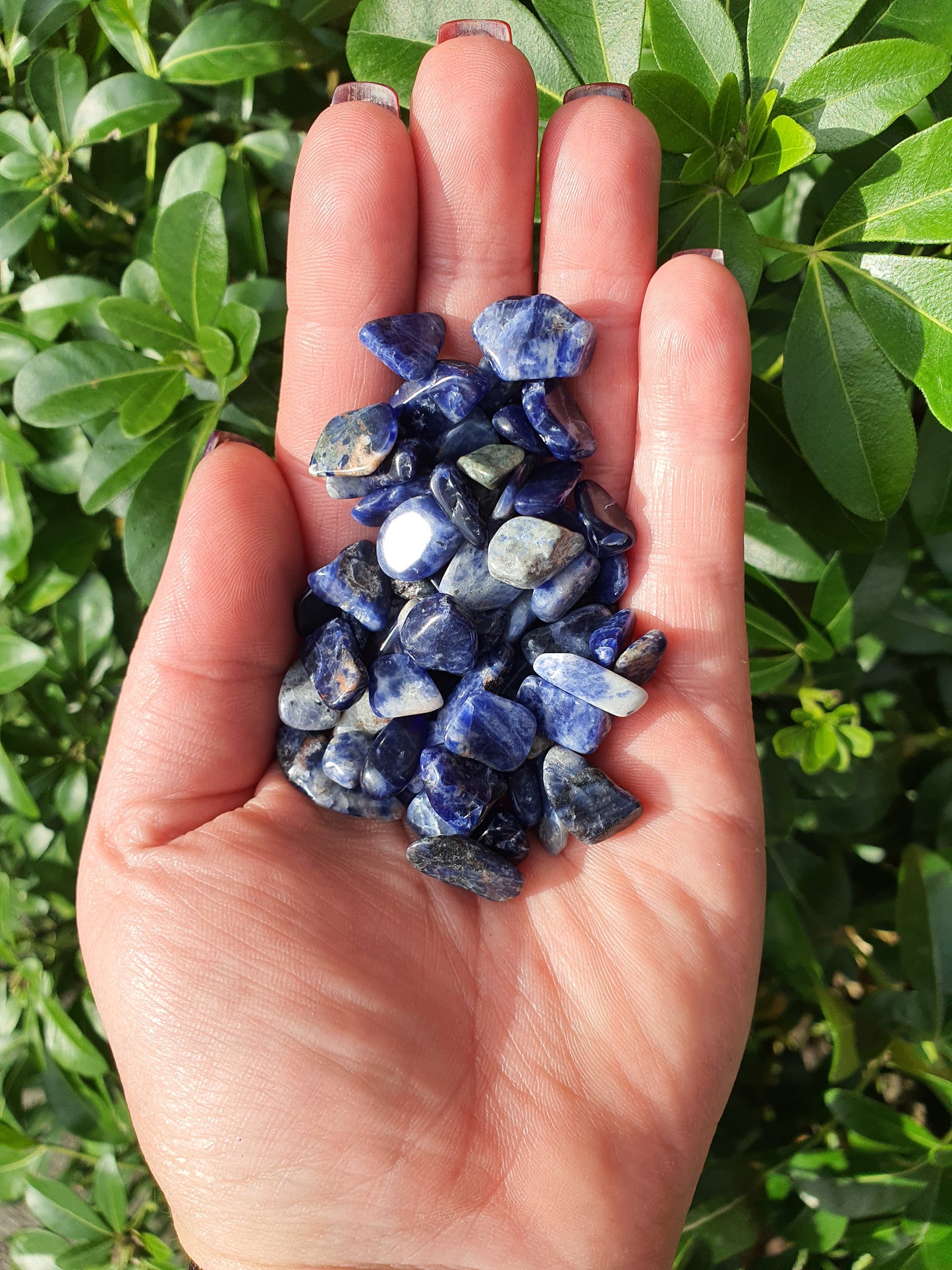 Sodalite Crystal Chip 100 gms Bag