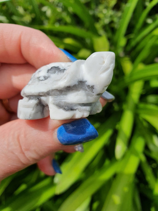 Howlite Turtle