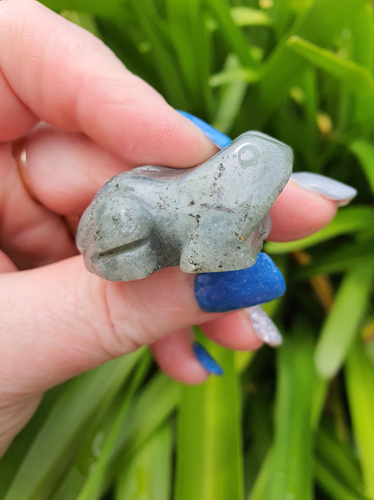 Labradorite Frog