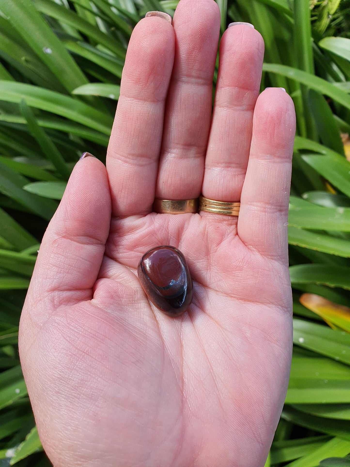 Red Tigers Eye Tumbled Stones