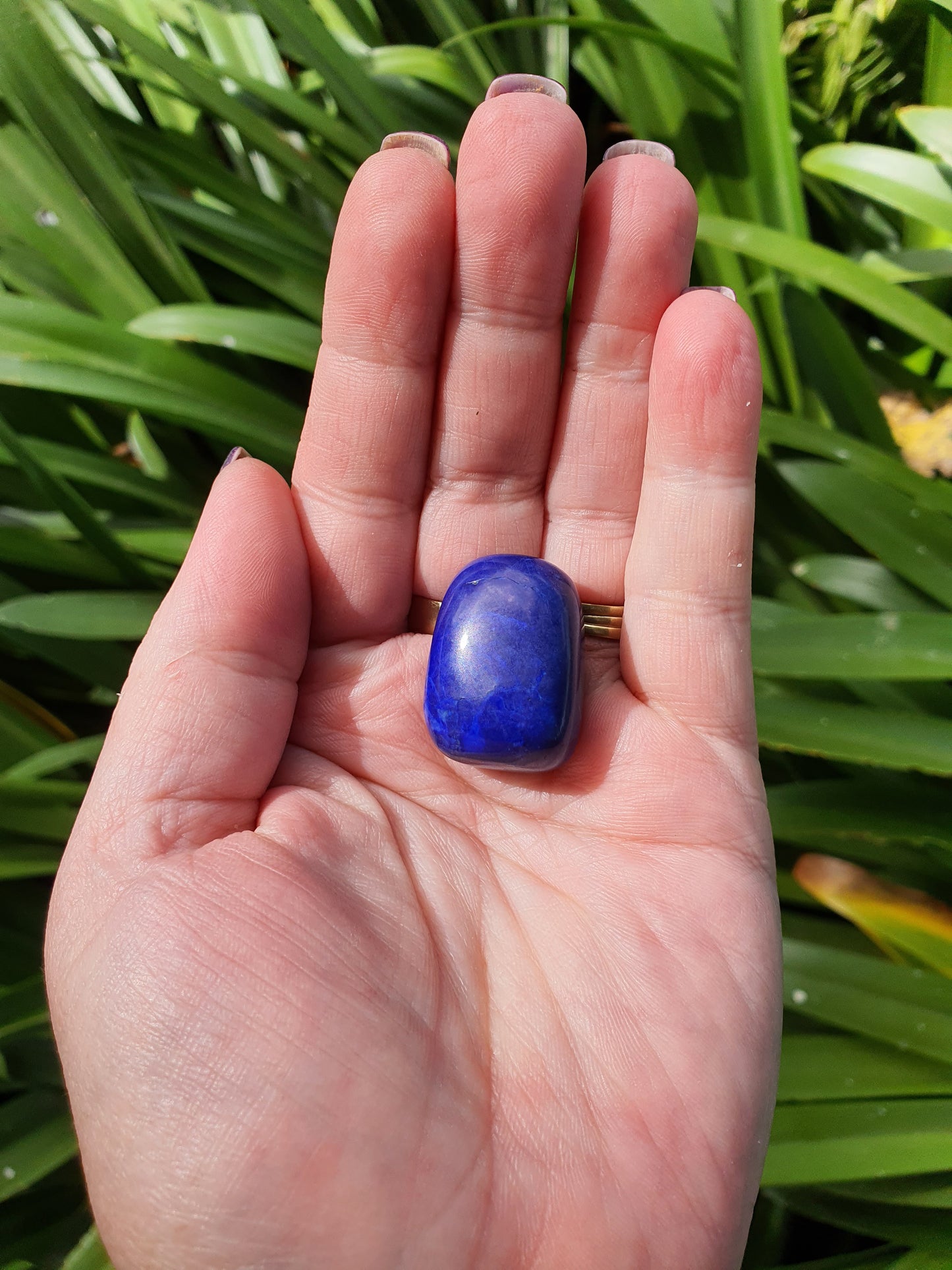 Howlite Dark Blue Tumbled Stones