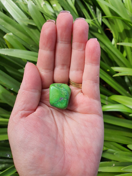Howlite Green Tumbled Stones