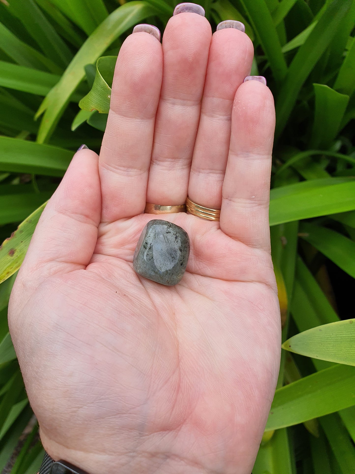 Labradorite Tumbled Stones