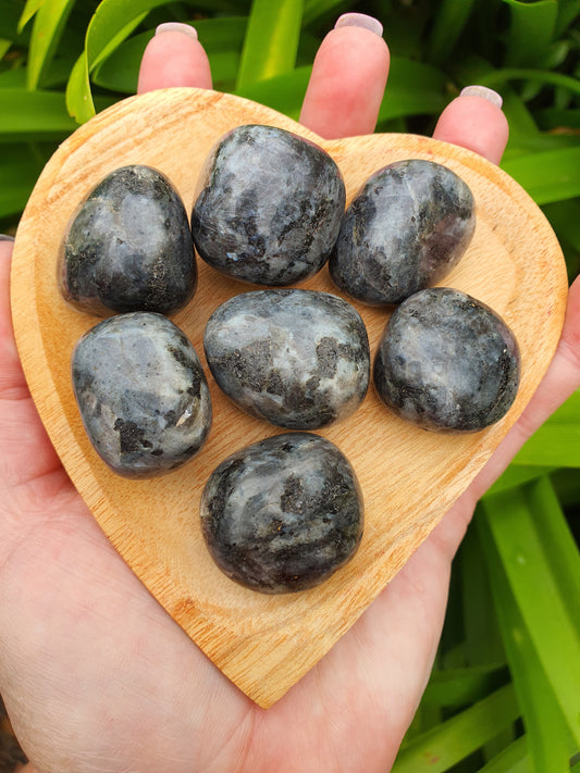 Larvikite Tumbled Stones Large