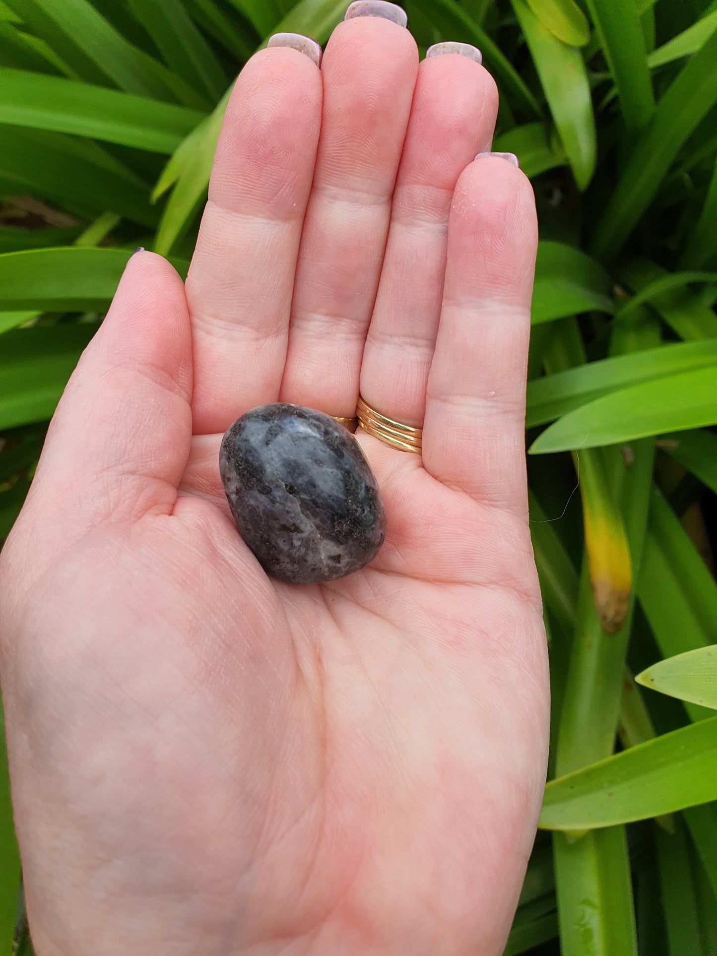 Larvikite Tumbled Stones Large