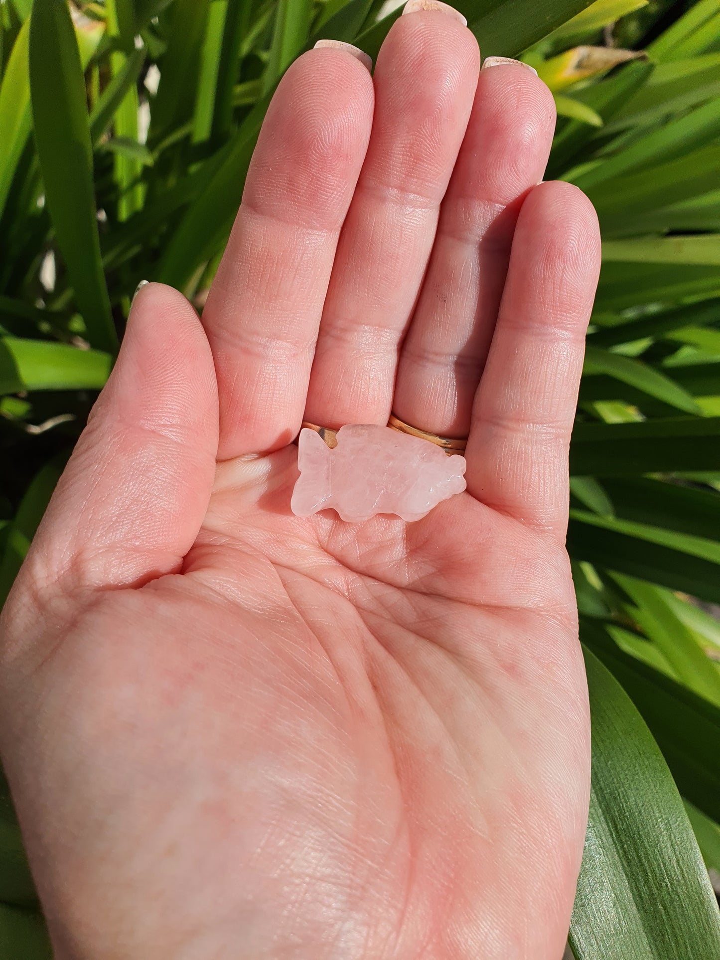 Rose Quartz Mini Fish