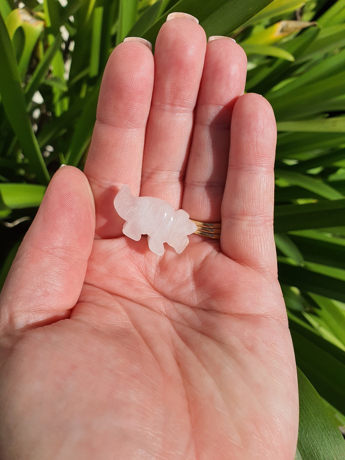 Rose Quartz Mini Dinosaur no1