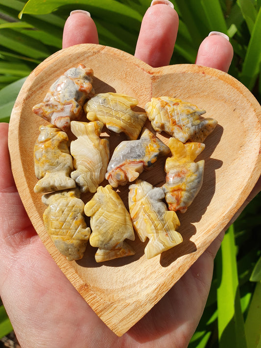 Crazy Lace Agate Mini Fish