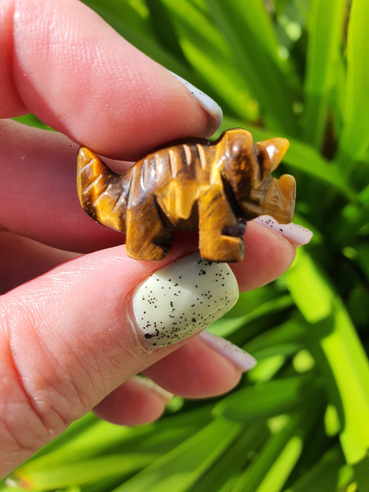 Tigers Eye Mini Dinosaur no2