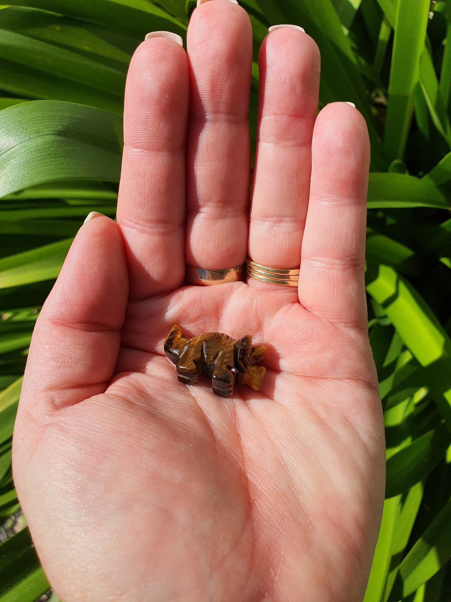 Tigers Eye Mini Dinosaur no2