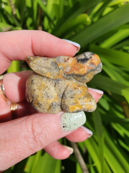 Crazy Lace Agate Rabbit Large