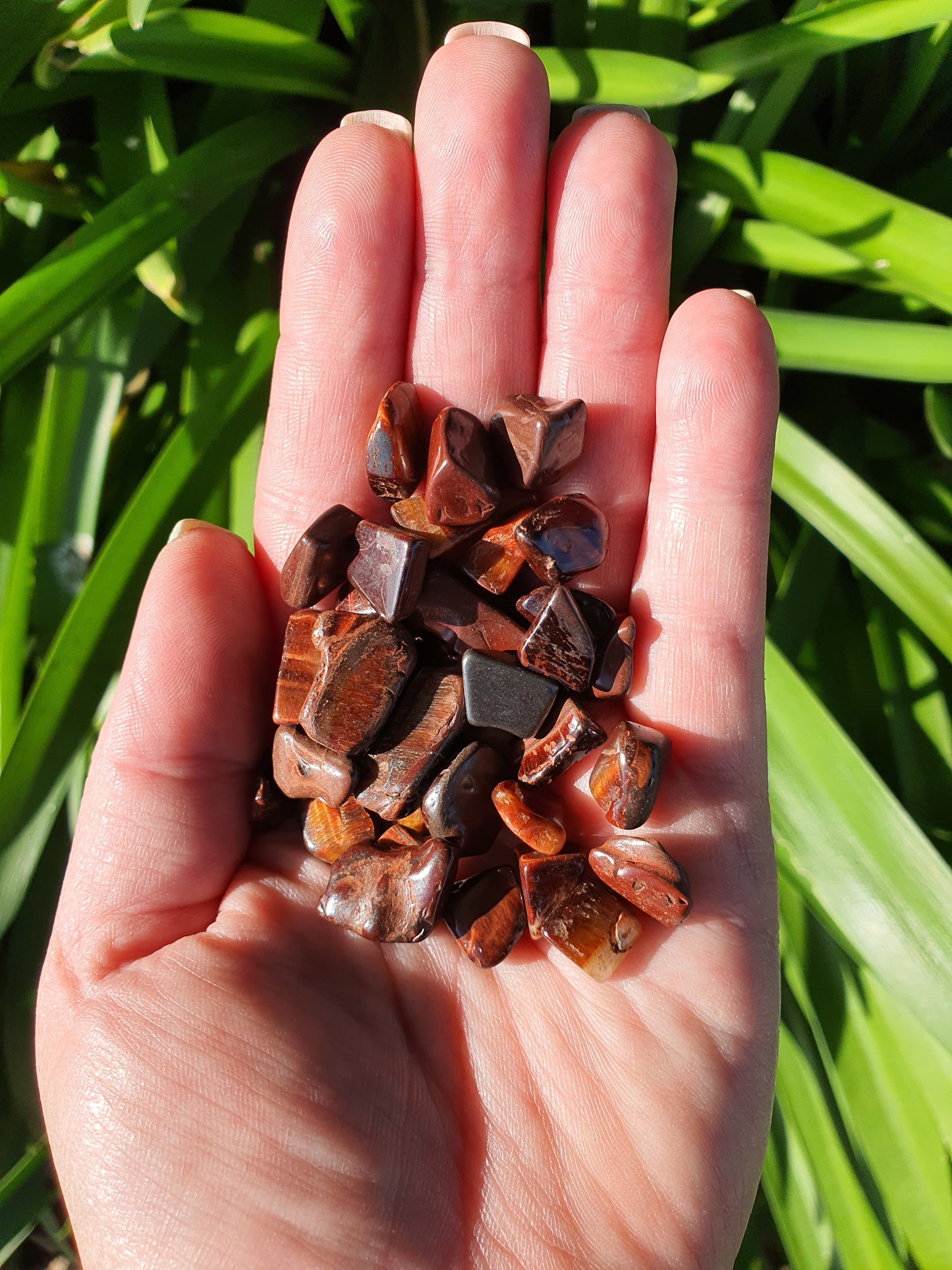 Red Tigers Eye Crystal Chip 100 gms Bag