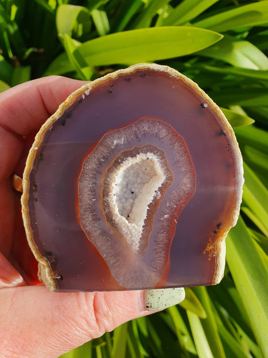 Brown Agate Geode A