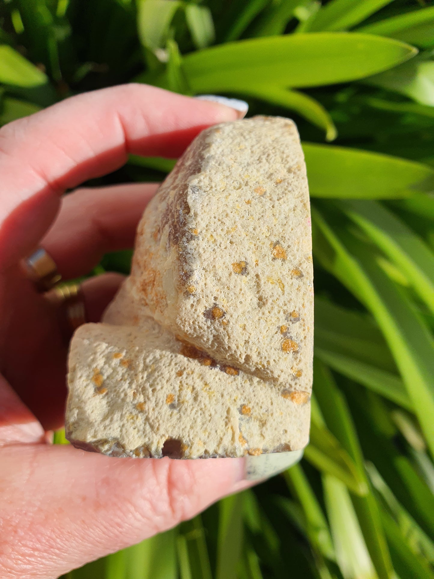 Brown Agate Geode A