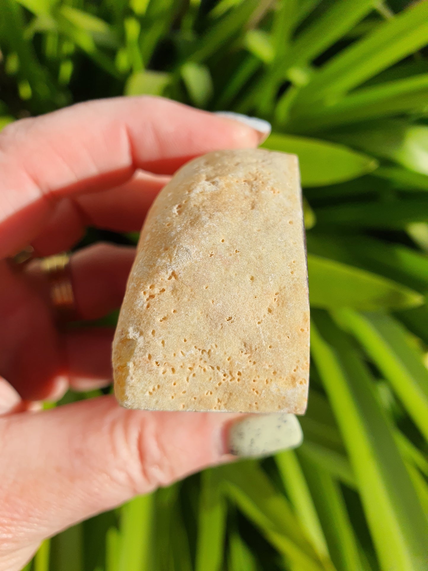 Brown Agate Geode B