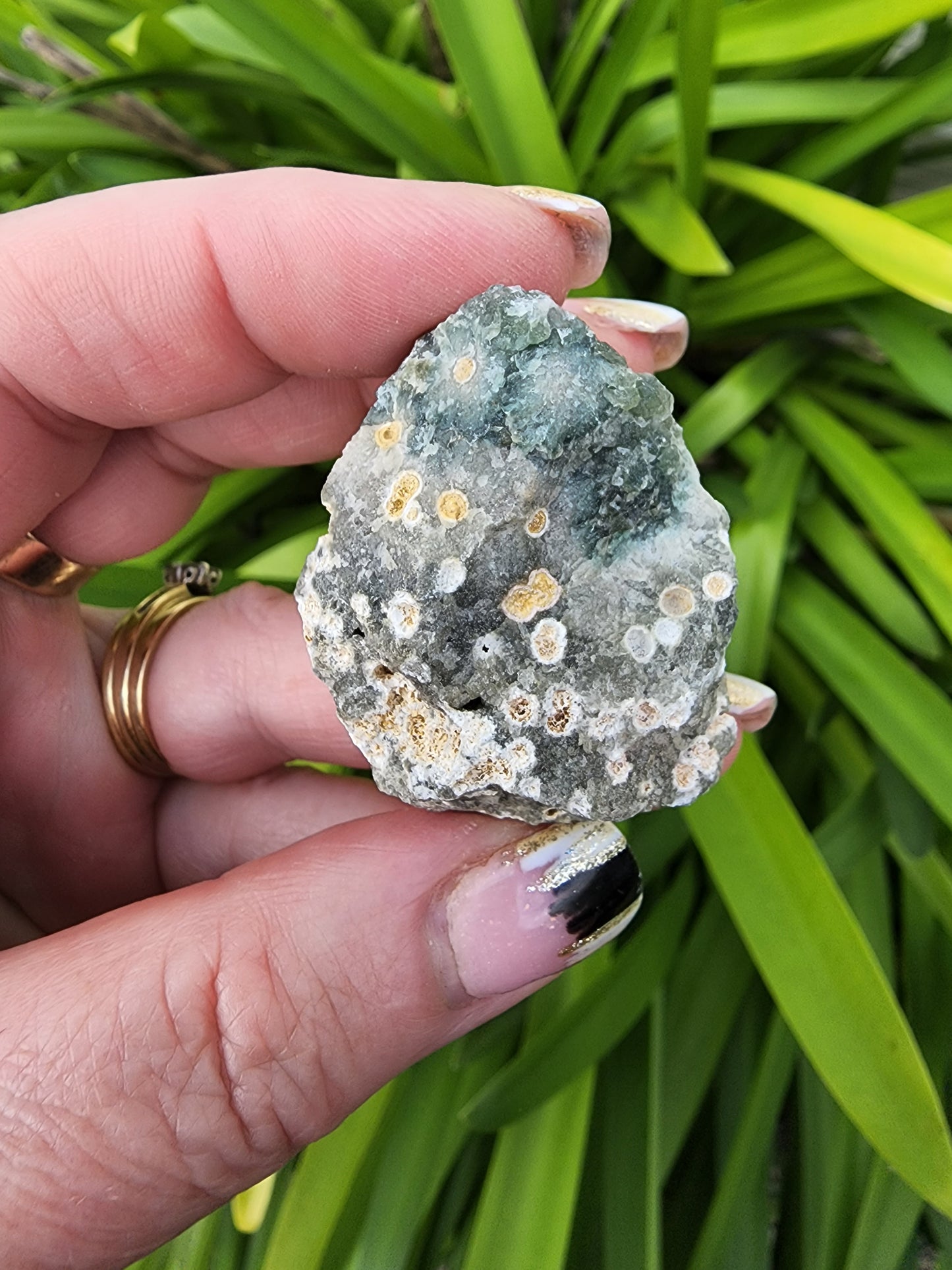 Ocean Jasper Rough