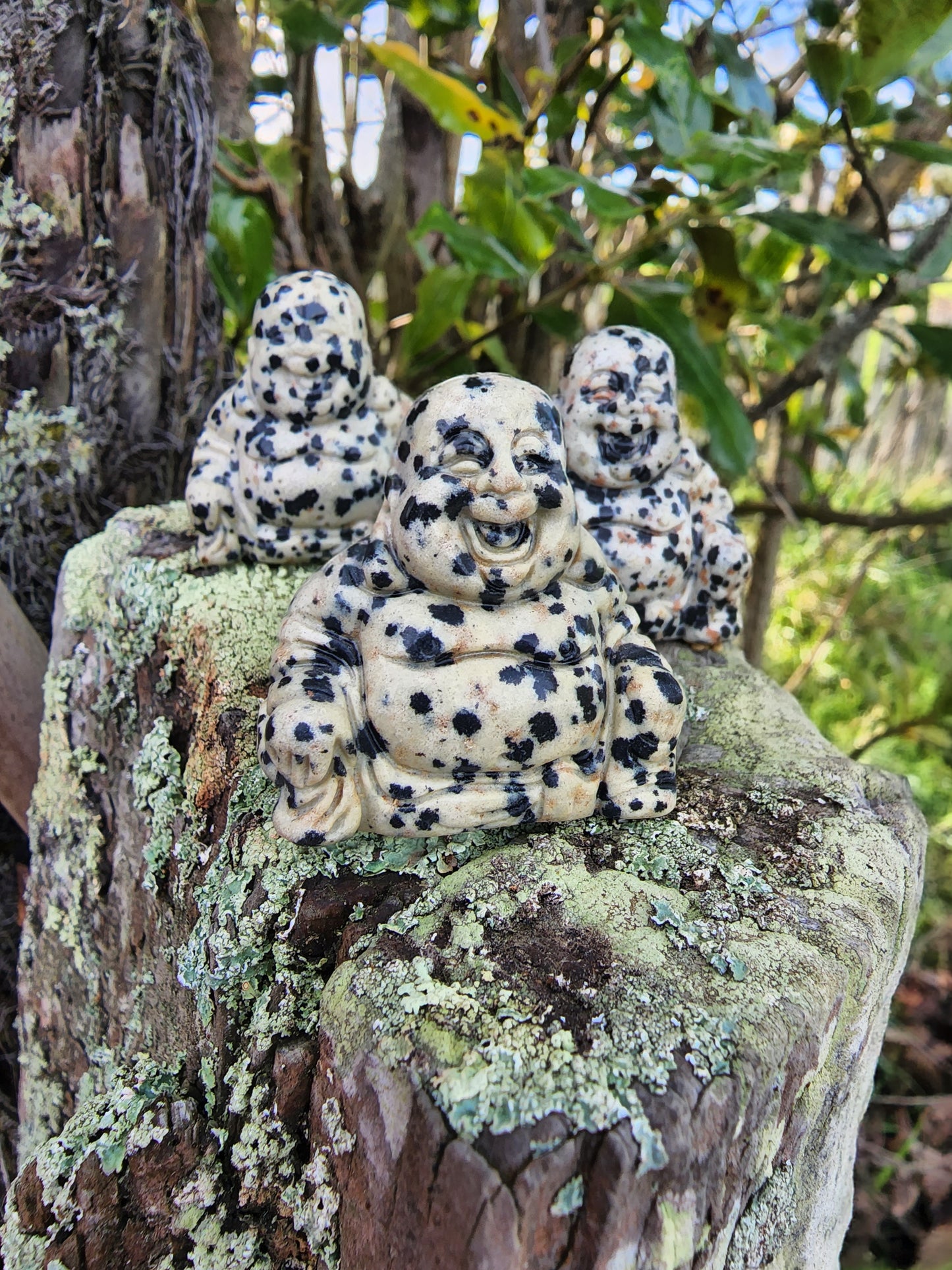 Dalmatian Jasper Buddha