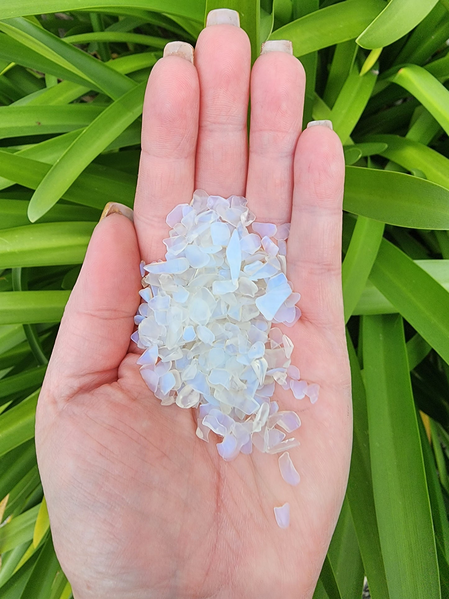 Opalite Crystal Chip 100 gms Bag