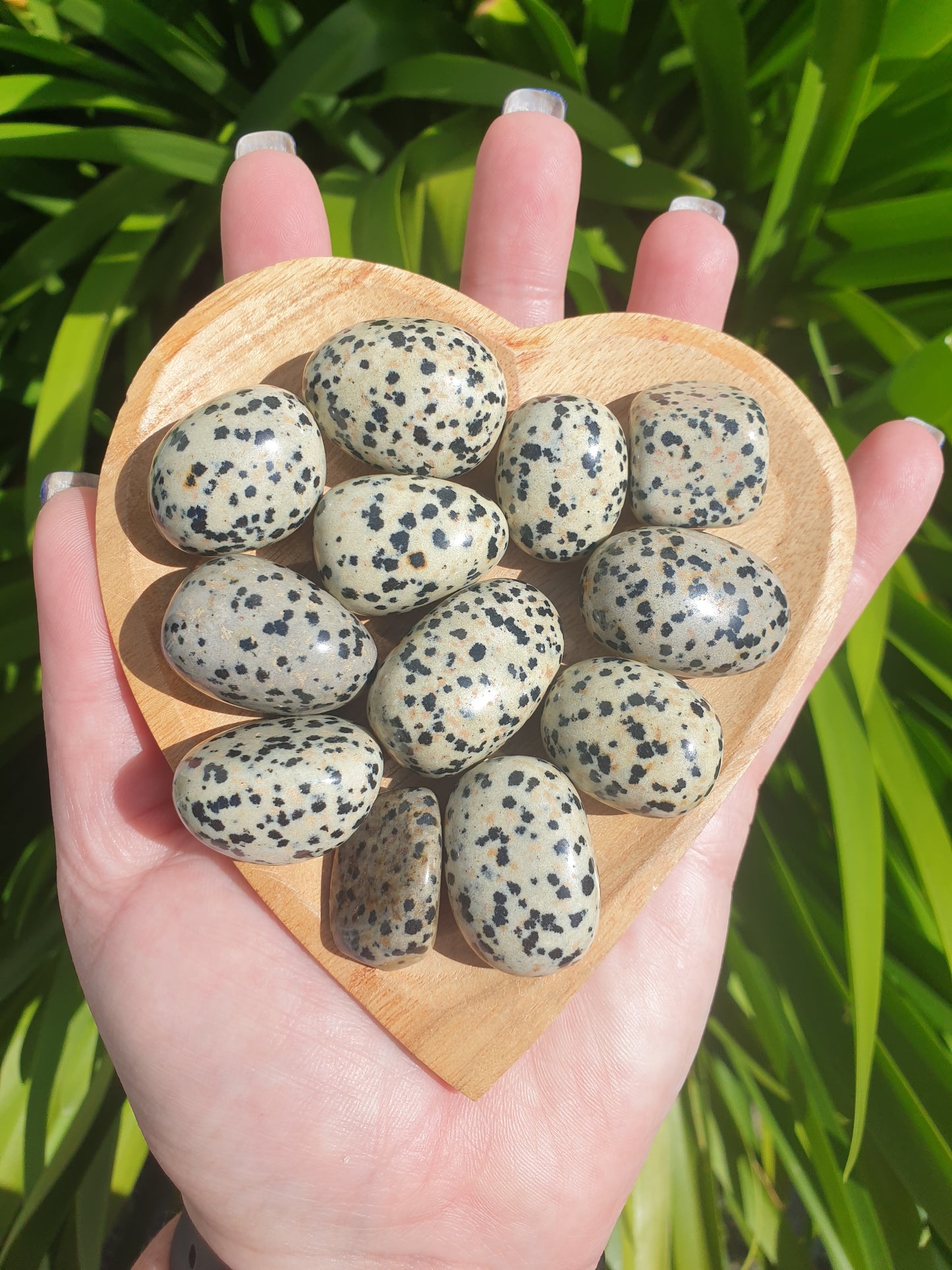 Dalmatian Jasper Tumbled Stone