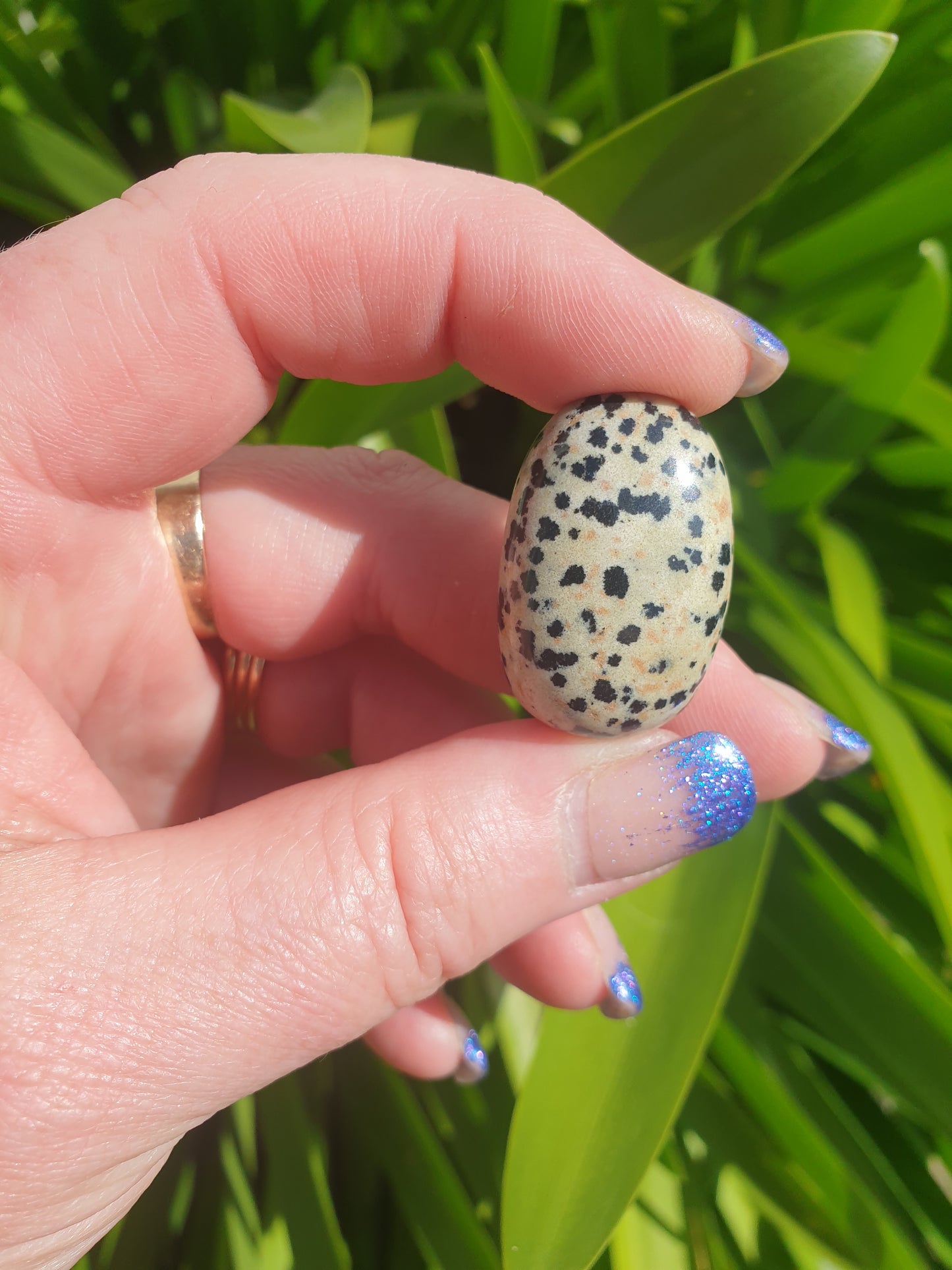 Dalmatian Jasper Tumbled Stone