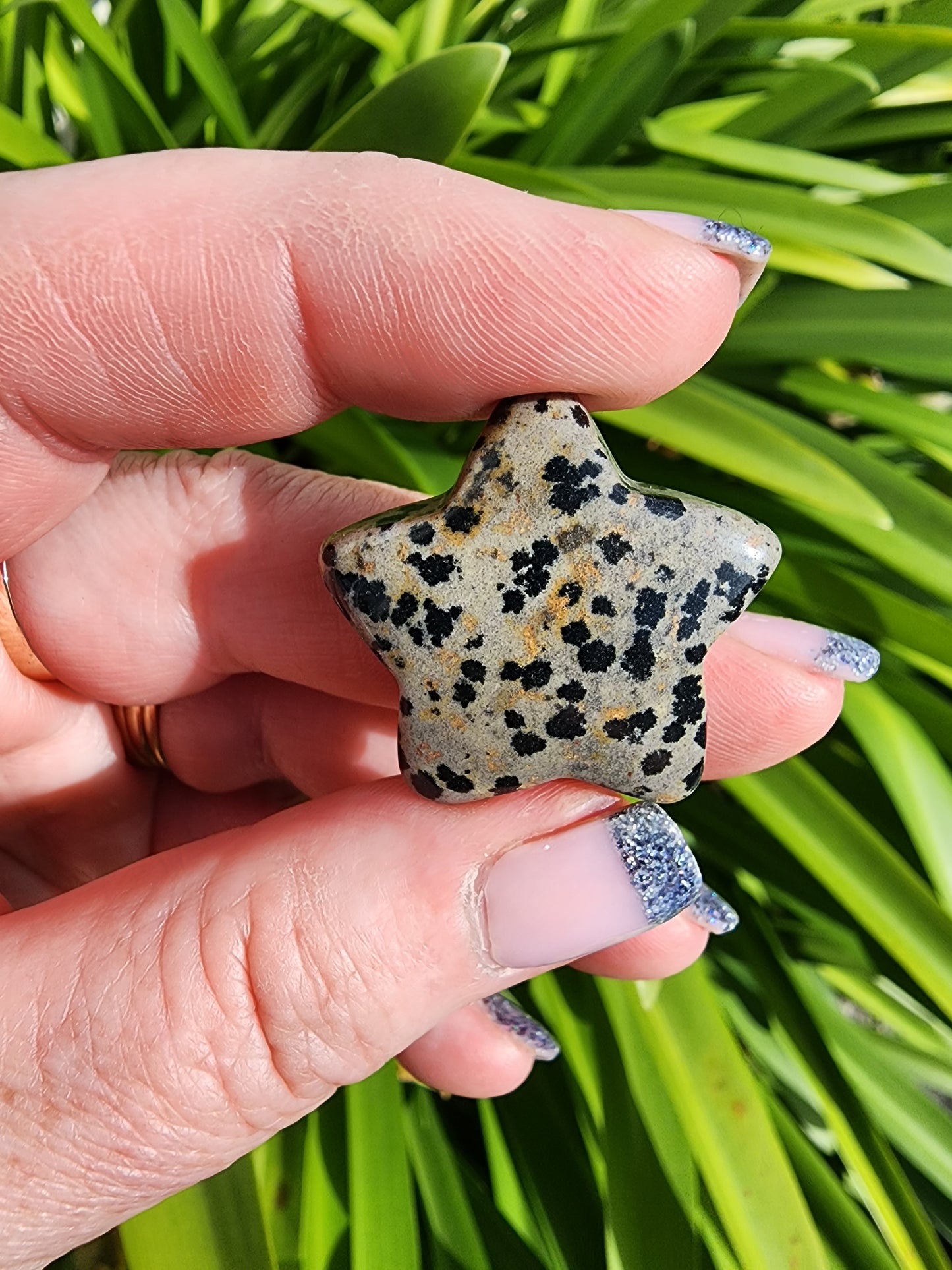 Dalmatian Jasper Mini Star