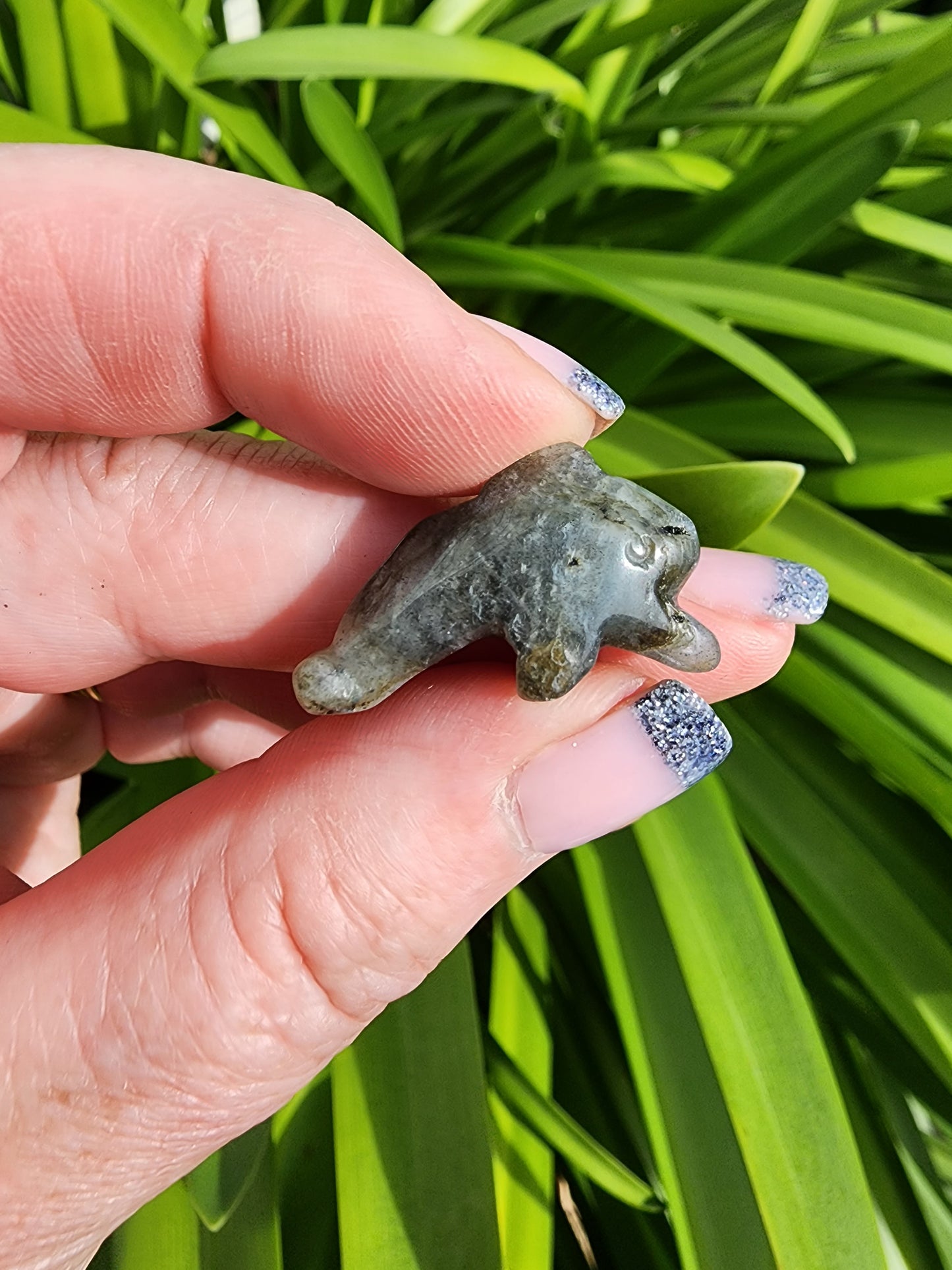 Labradorite Mini Dolphin