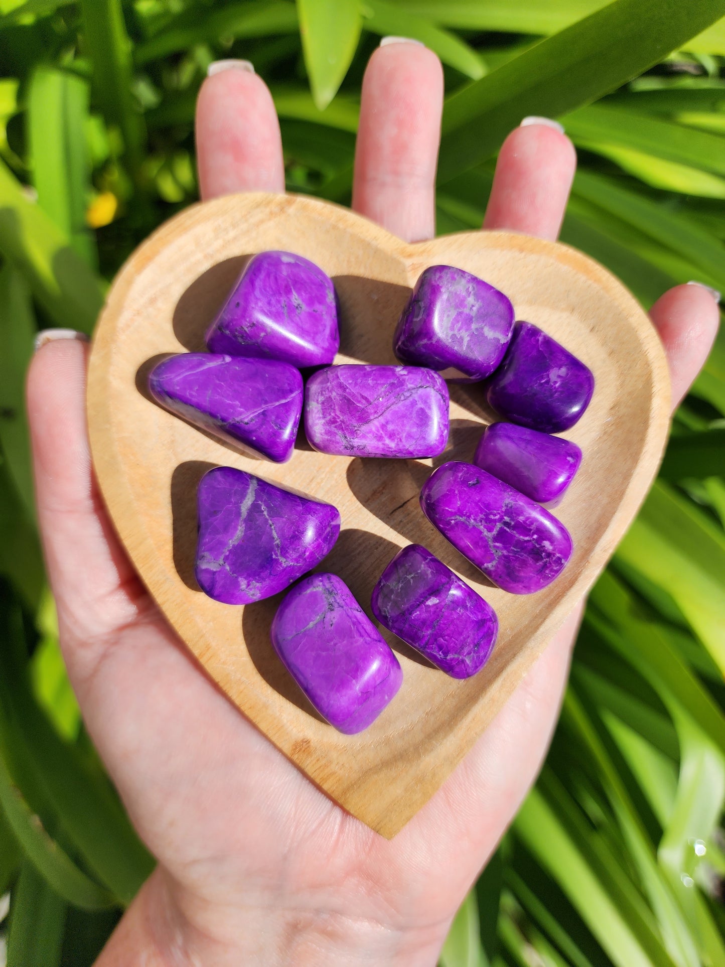 Howlite Purple Tumbled Stones 10 Pack Valued at $30