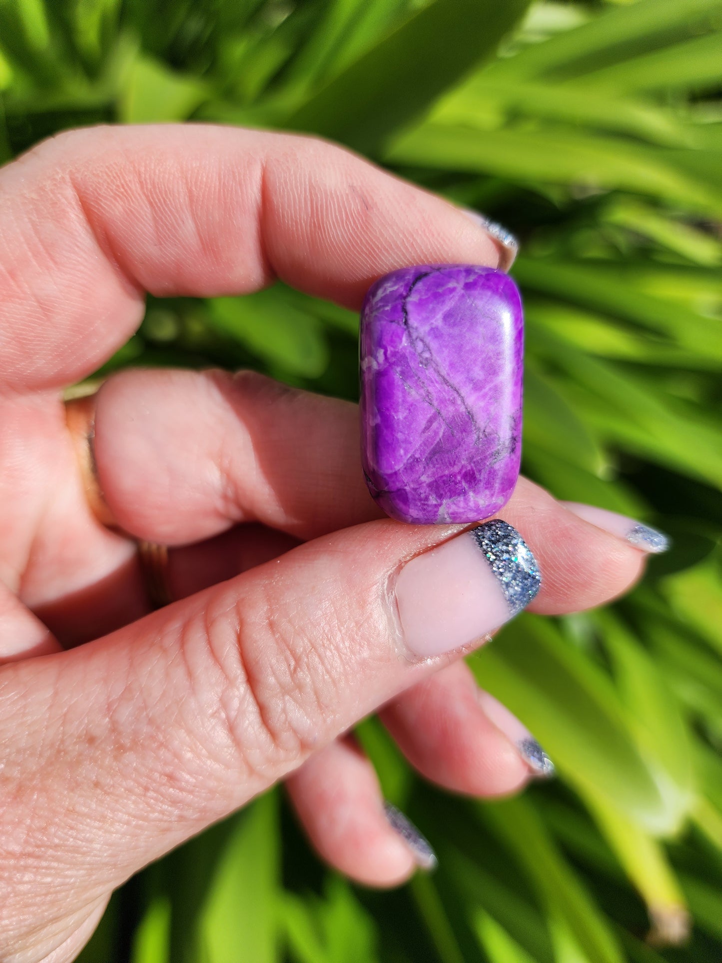 Howlite Purple Tumbled Stones 10 Pack Valued at $30