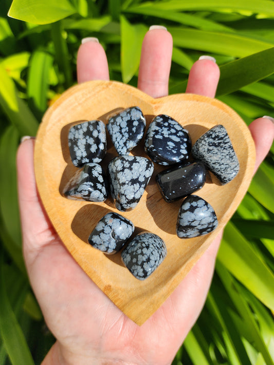 Snowflake Obsidian Tumbled Stones 10 Pack Valued $30