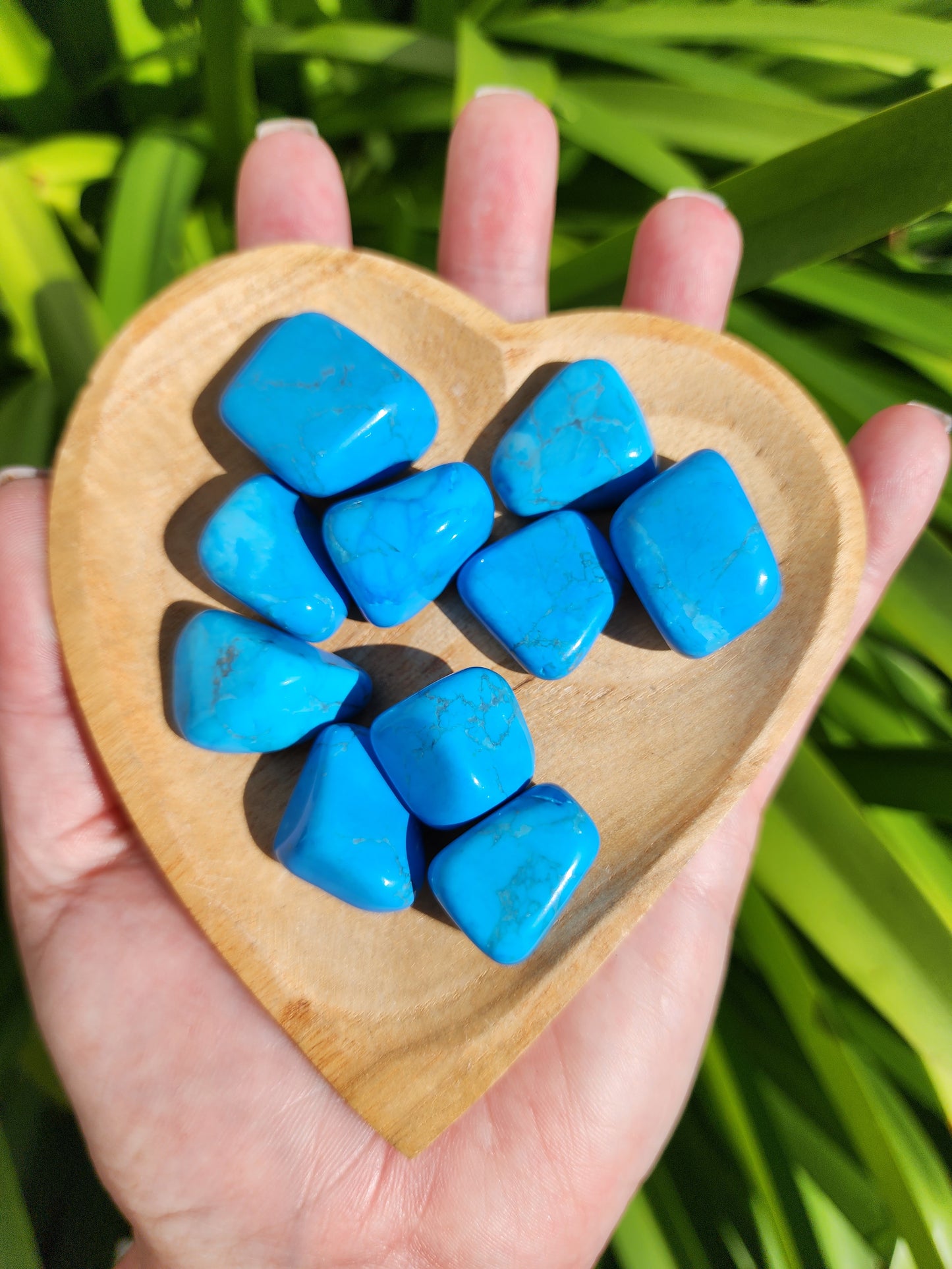 Howlite Blue Tumbled Stones 10 Pack Valued at $30