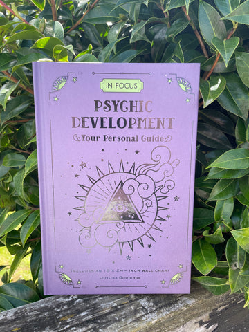 In Focus Psychic Development Book