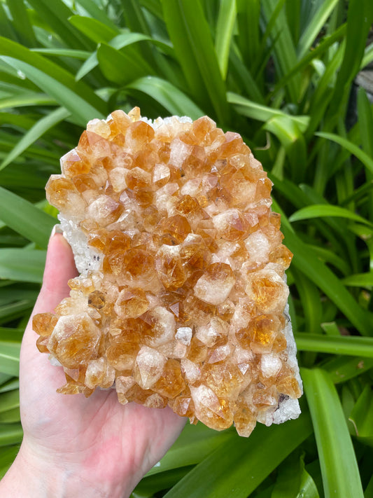 Citrine Cluster A 1.5kg