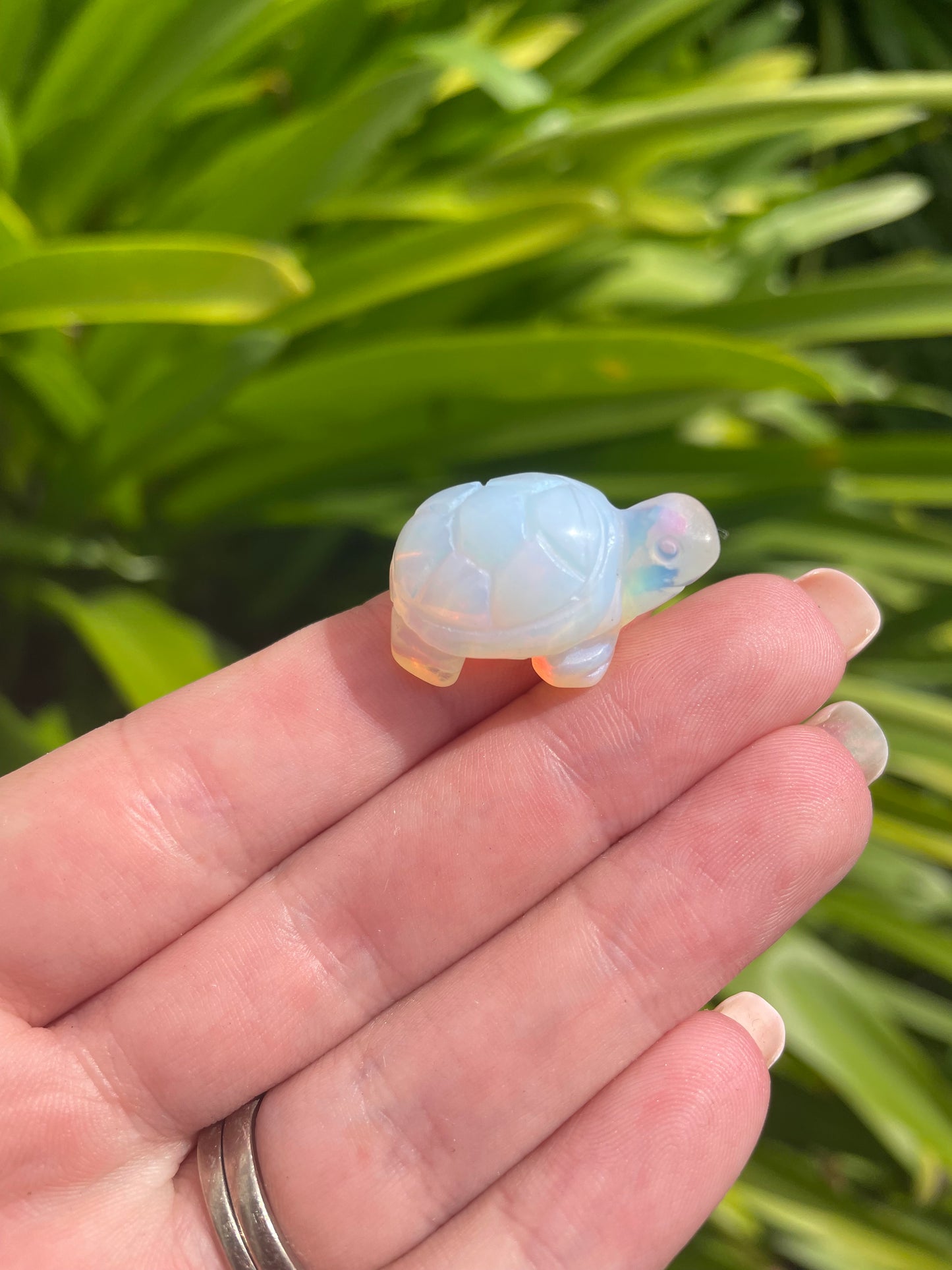 Opalite Mini Land Turtle