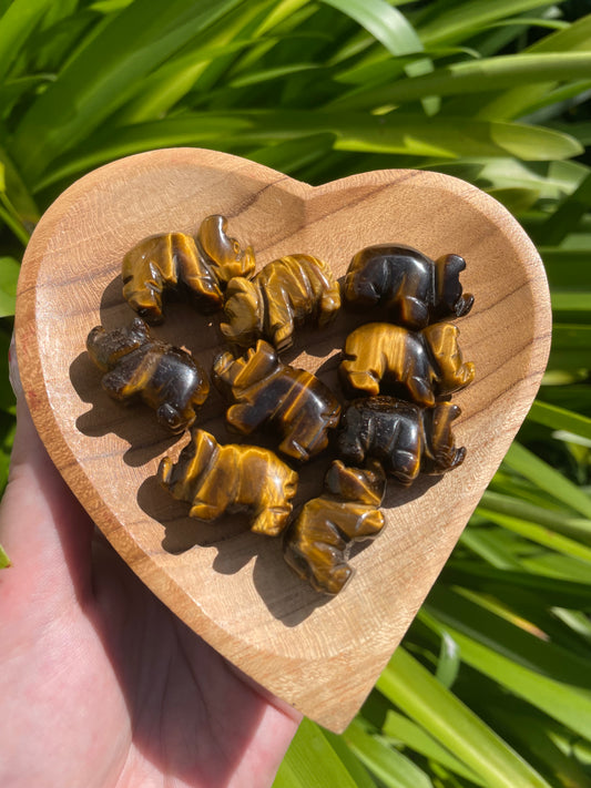 Tigers Eye Mini Pig