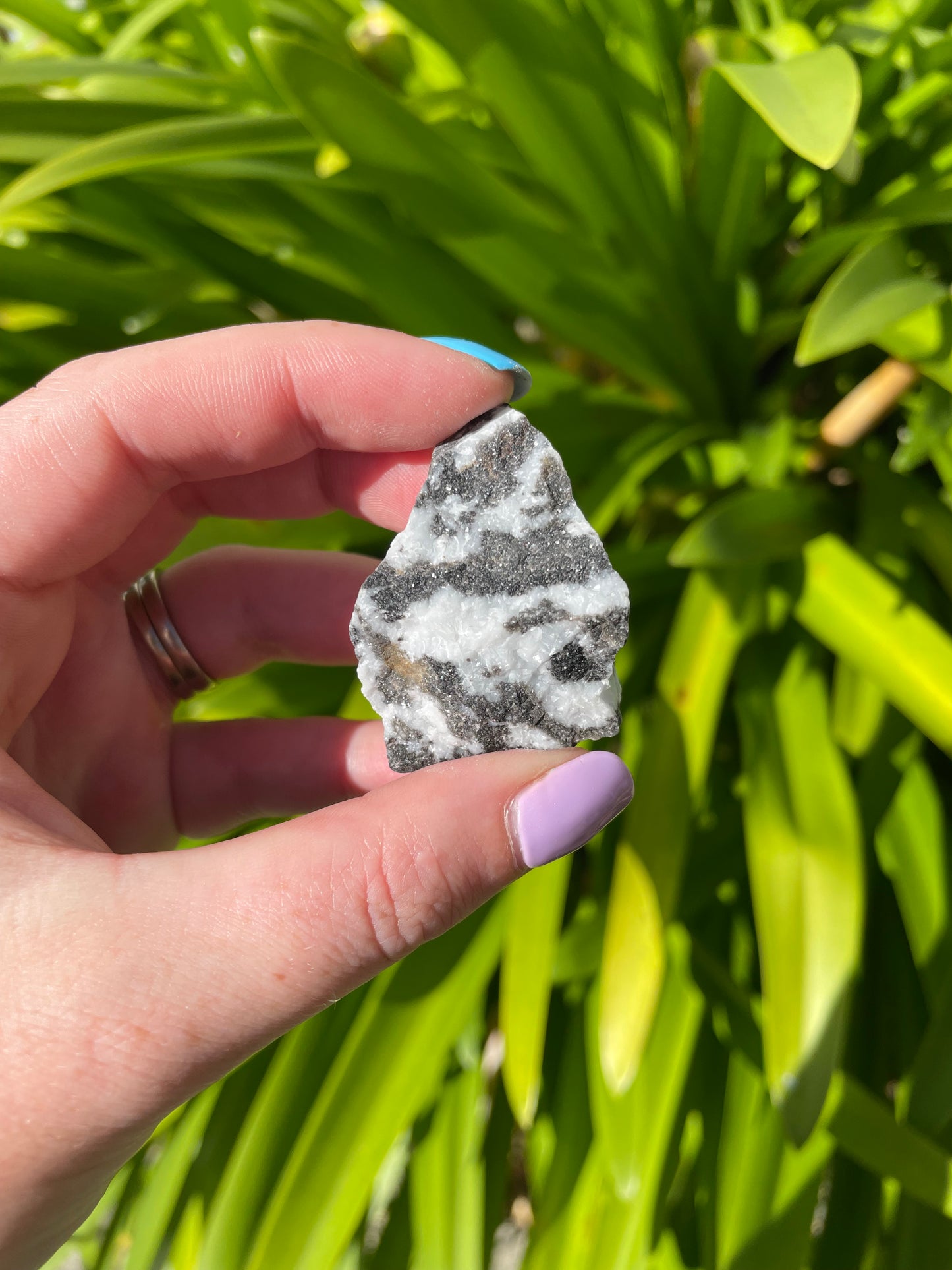 Zebra Jasper Rough Piece Small