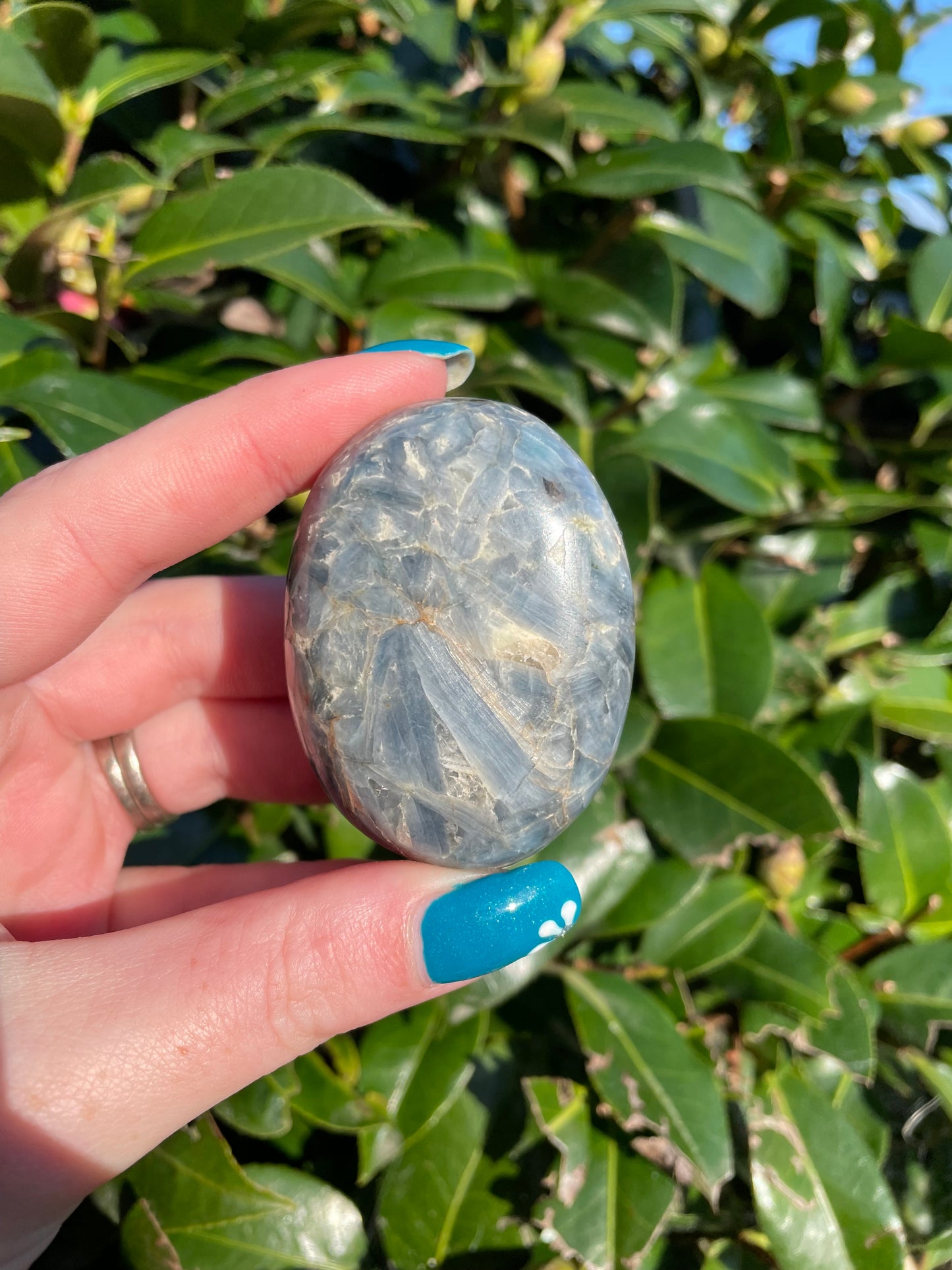 Blue Kyanite Palm Stone