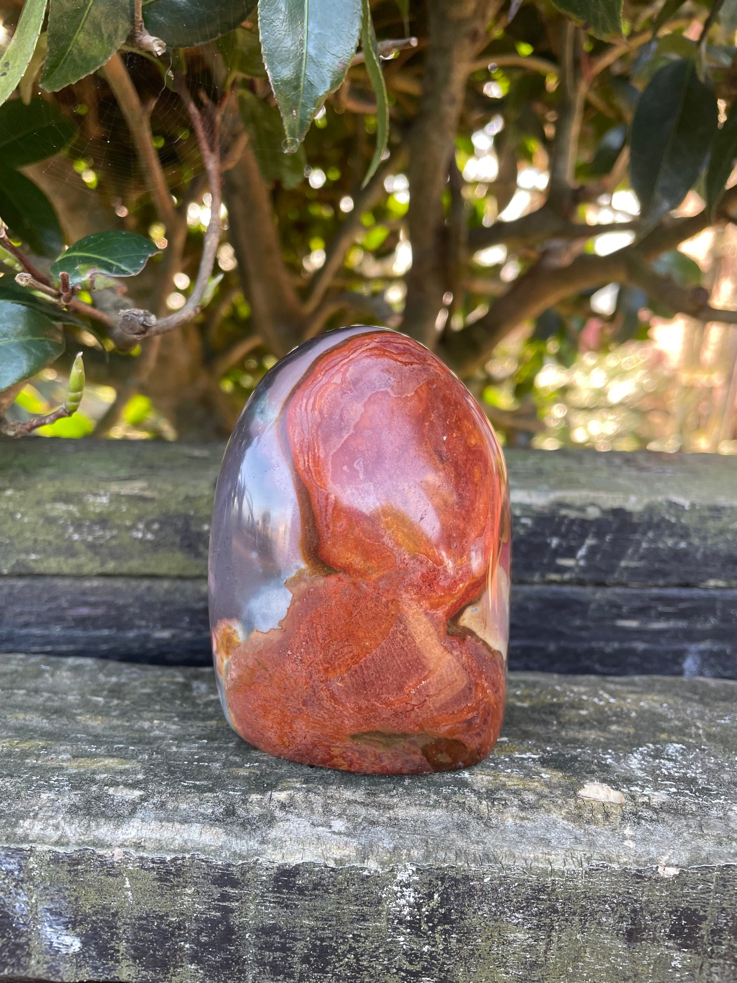 Polychrome Jasper Freeform B