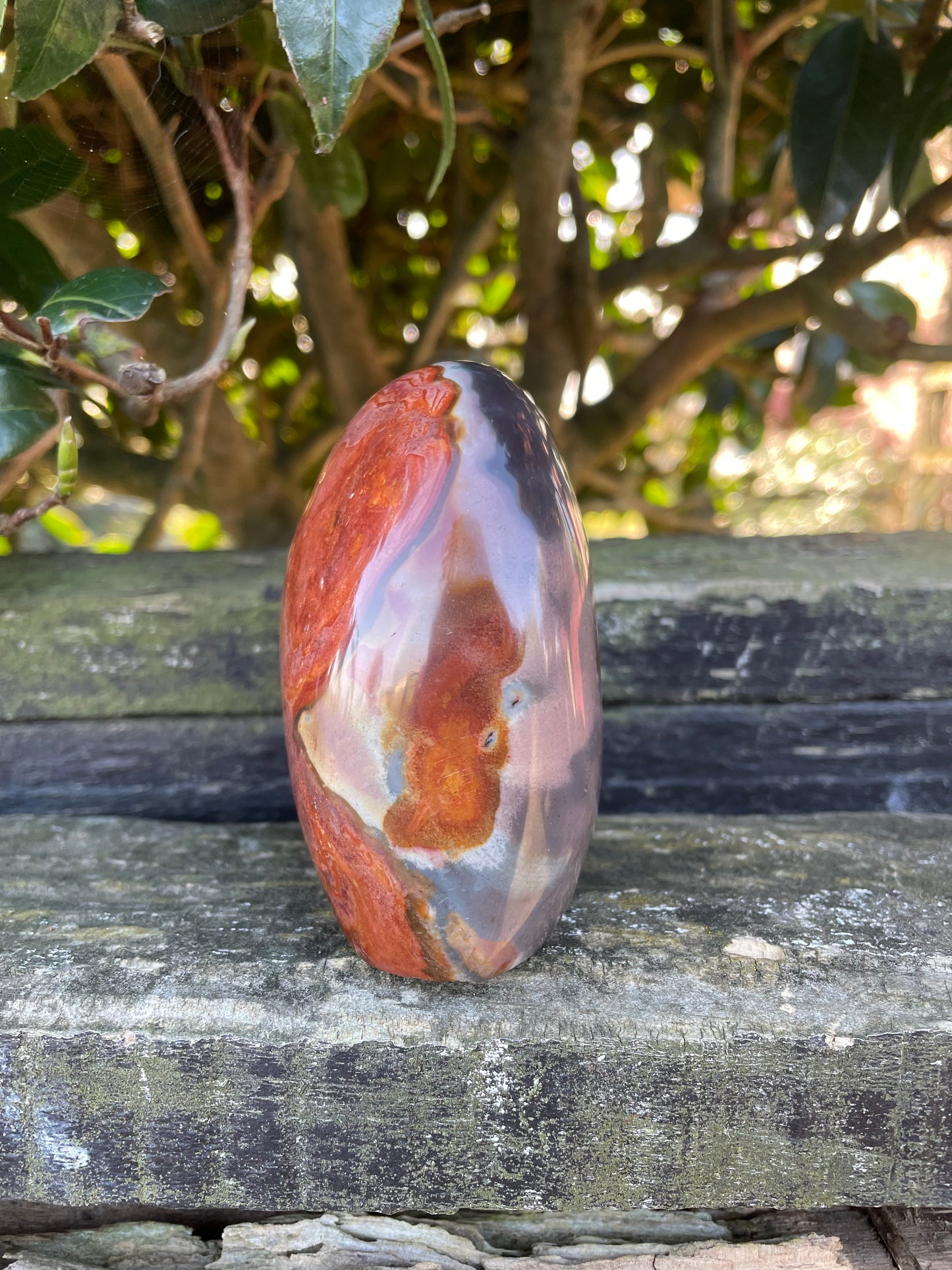 Polychrome Jasper Freeform B