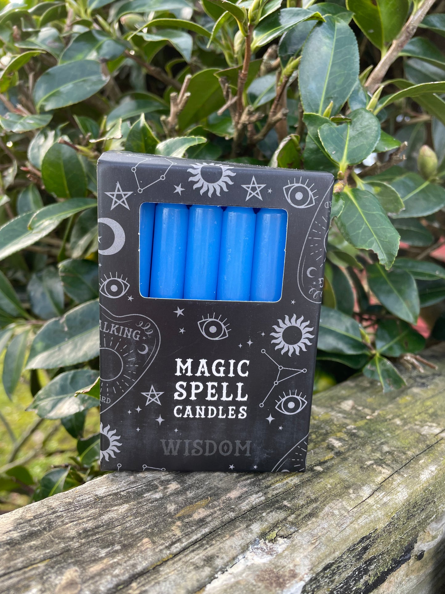 Dark Blue WISDOM Magic Spell Candles x12